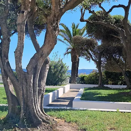 Azur Et Appartement